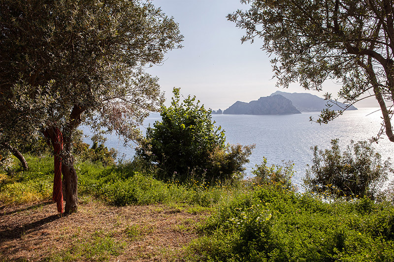 LA DOLCE VITA EN MODE VINTAGE // Frantoio Punta Campanella - Villa à louer face à Capri - Italie 