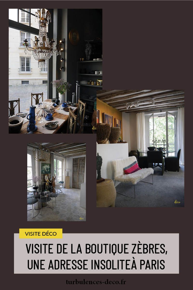 Visite de la boutique Zèbres, une adresse insolite à découvrir sur Turbulences Déco