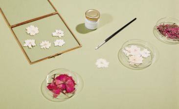 Les herbiers de fleurs séchées, signés Herbarium