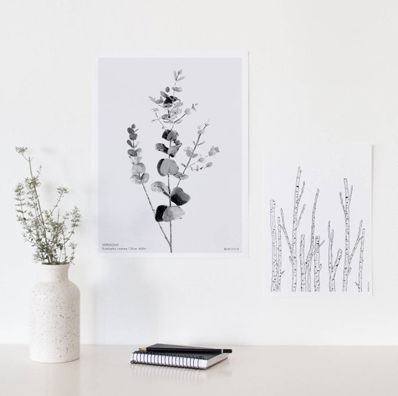 Affiche Eucalyptus Cinerea - Boutique Etsy Micush