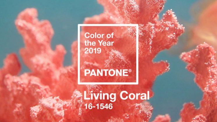 Living Coral couleur Pantone® 2019, la vie en rose