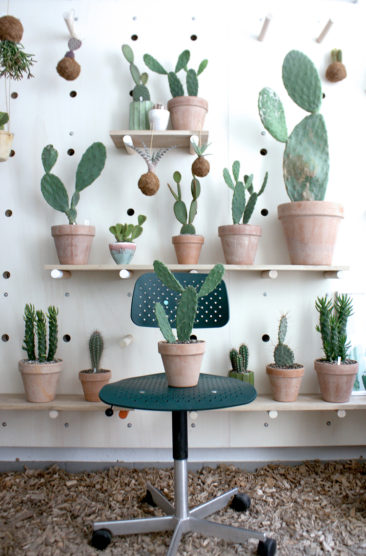 Tendance cactus mania // Etagères de cactus