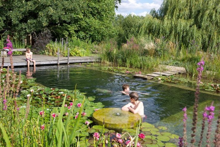 Tendance piscine naturelle