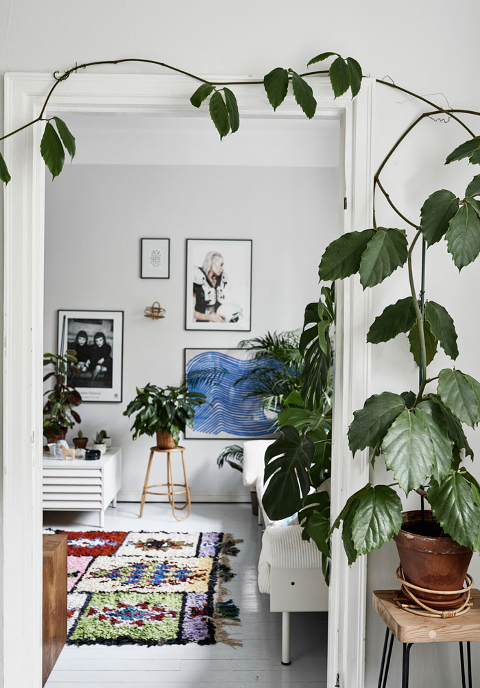 Green home book par Suzanna Vento en collaboration avec les photographes Riikka Kantinkoski et Pinja Forsman
