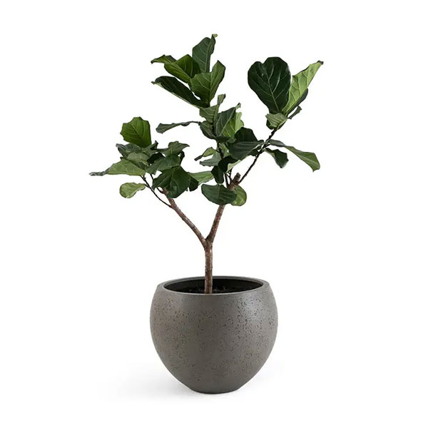 Cache-pot en fibres de terrazzo H60cm, Saniro sur Ampm