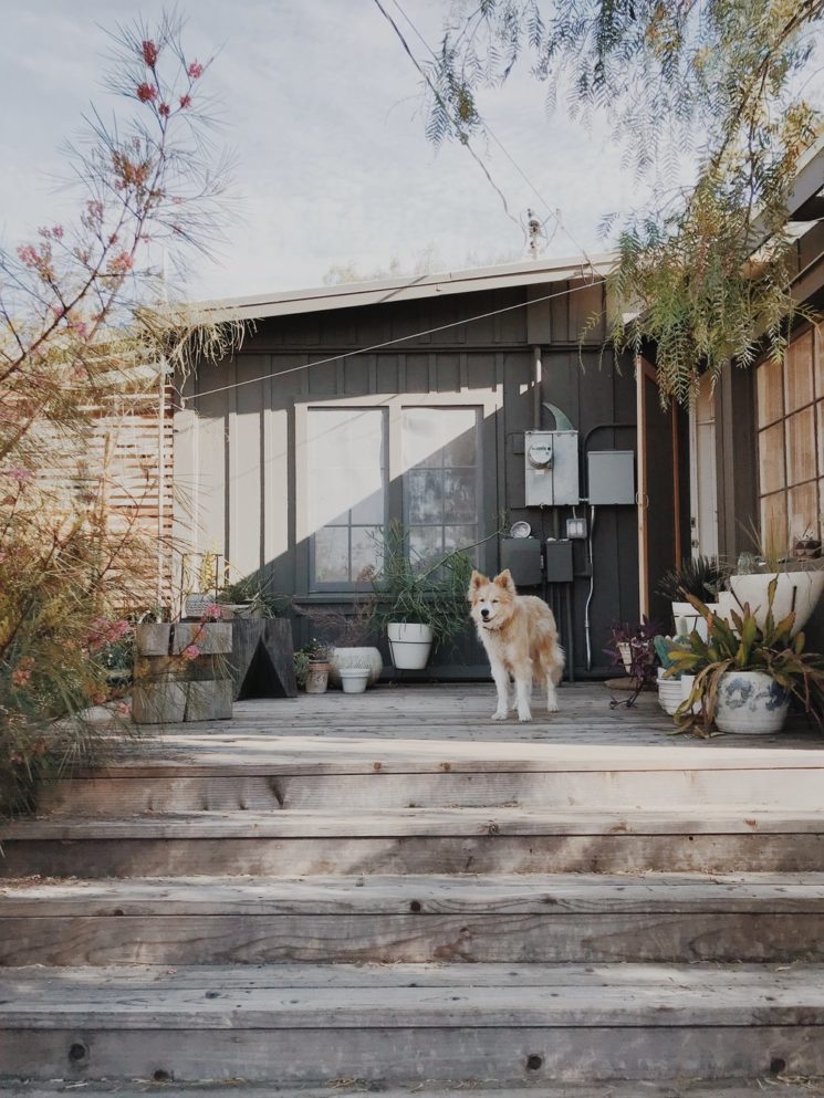 La maison de Serena Mitnik-Miller et family, propriétaire de la boutique General Store - masonstpeter.co architecte