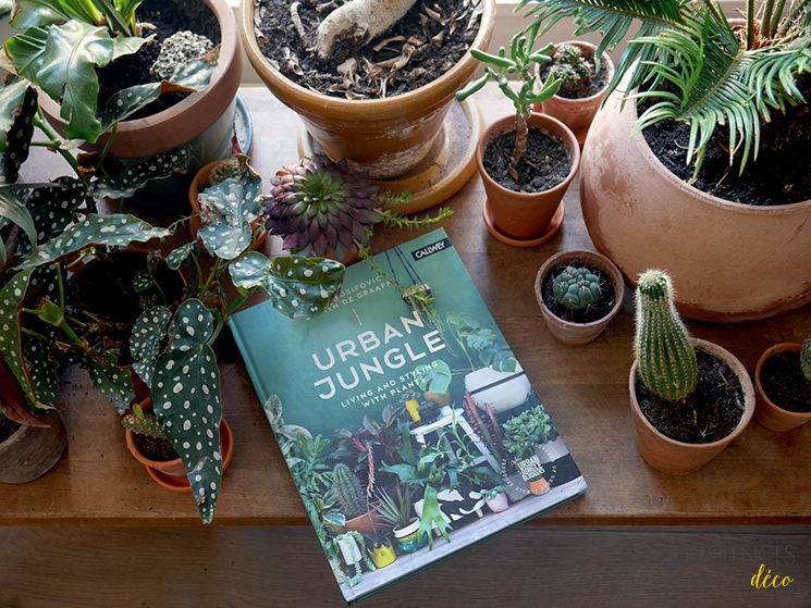 Mes 4 livres préférés plantes et décor : Urban Jungle de Judith De Graaff et Igor Josifovic