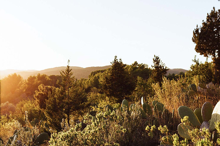 The Campo Loft à Ibiza, un loft au milieu de la nature sauvage de l'île