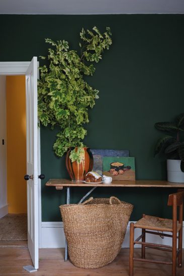 Farrow&Ball nuancier Naturel History Museum- Teinte Duck Green