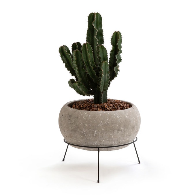 Cache-pot en ciment, Ollam, 69 € sur Ampm