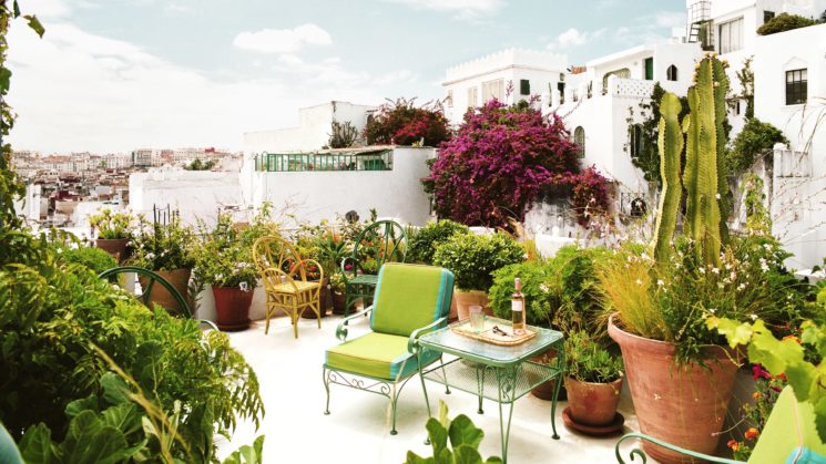 Vivre dedans /dehors || La terrasse de Frank de Biasi et Gene Meyers à Tanger