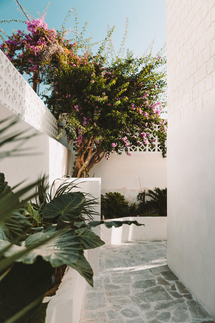 Villa Santa Teresa avec comme vue la Méditerranée au décor minimaliste, à louer près d'Ajaccio