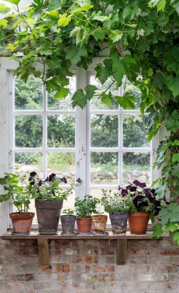 Aménager une serre comme pièce en plus au jardin // Ici, il s'agit plus d'une orangerie réalisée à partir de matériaux de récupération