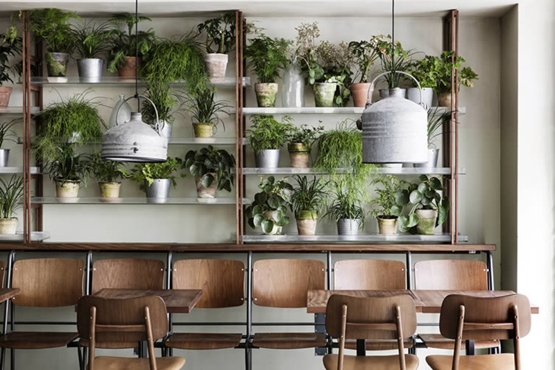 Aménager un jardin d'hiver dans sa véranda // Restaurant café Cofoco à Copenhague // La bonne idée : les étagères de plantes