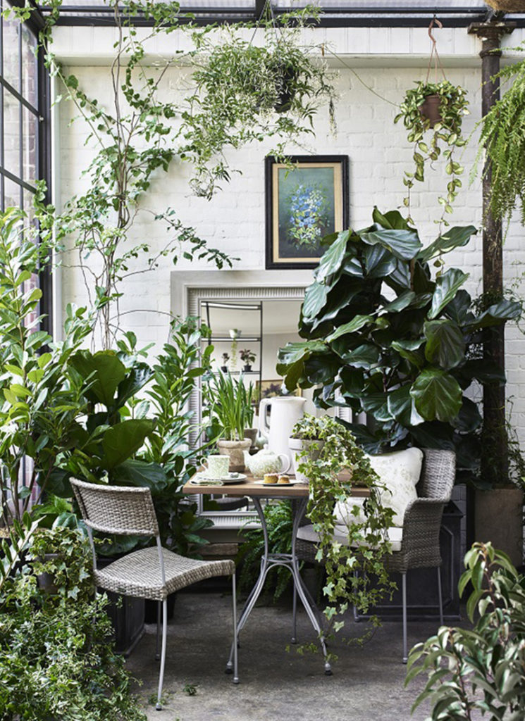 Aménager un jardin d'hiver dans sa véranda* - Turbulences Déco