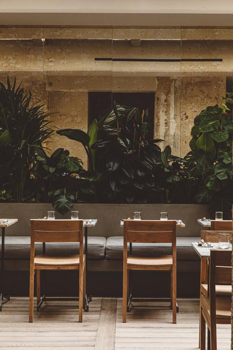 Hoy hôtel à Paris, une esthétique wabi sabi bohème // Salle de restaurant ambiance wabi sabi avec bois brut, plantes et enduit patiné