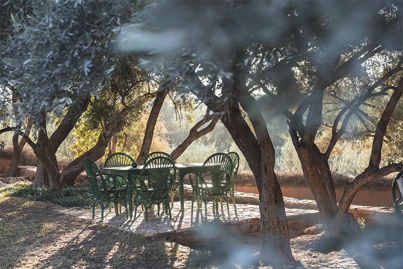 Berber Lodge une ambiance wabi sabi, désert // Ecolodge près de Marrakech