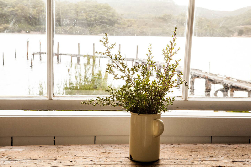 Bushy Summers : une cabane d'été en Tasmanie / Photo : Claire Lloyd