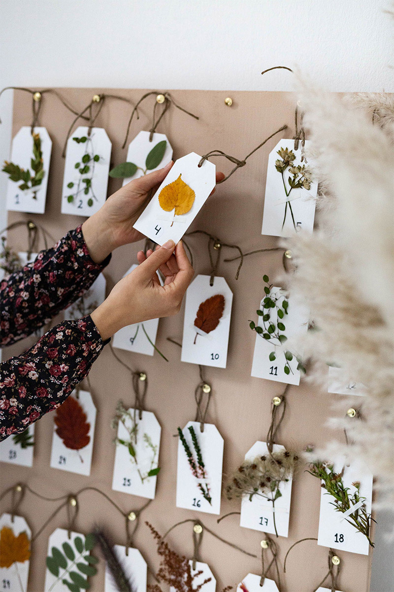 Calendrier de l'avent naturel en forme d'herbier à retrouver sur le site de sister-mag.com