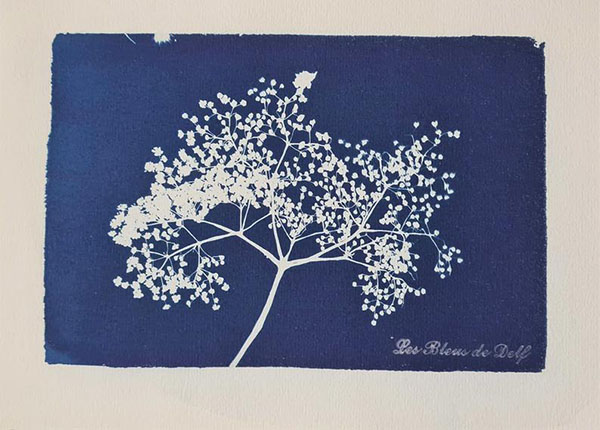 Cyanotype original "Arbre Fleurs" - Boutique Etsy Les Bleus de Delf