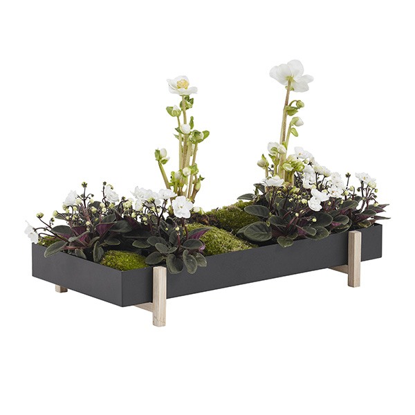 Pot de fleurs Botanic, Tray, design : Atelier 2+ - Design House Stockholm