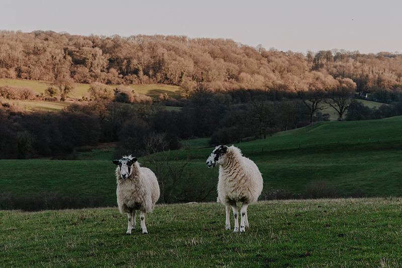 Cotswold Farm Hideaway, un cottage anglais moderne rustique à louer sur Airbnb