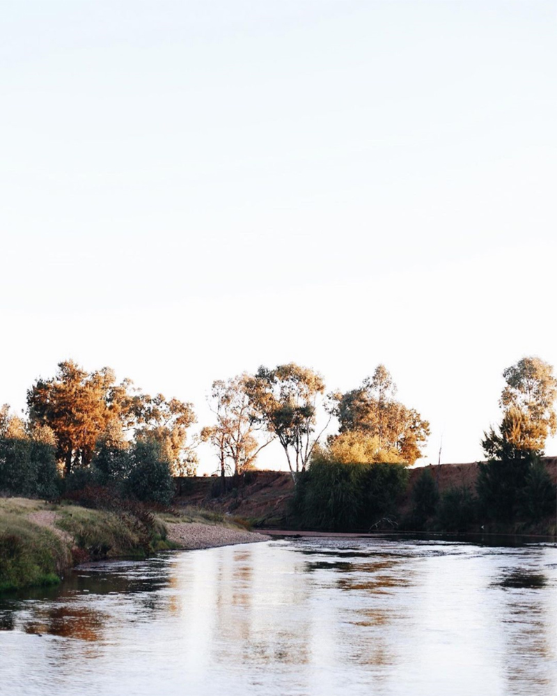 The Repose, chambre d'hôtes Dubbo, Australie // Les environs