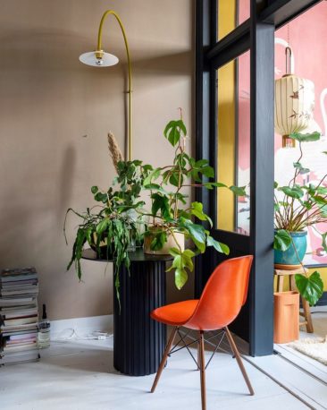 Pour un intérieur stylé, adoptez une belle plante verte // @theobert_pot