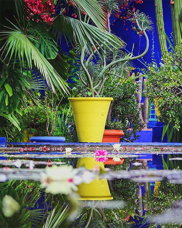 @jardinmajorellemarrakech_3