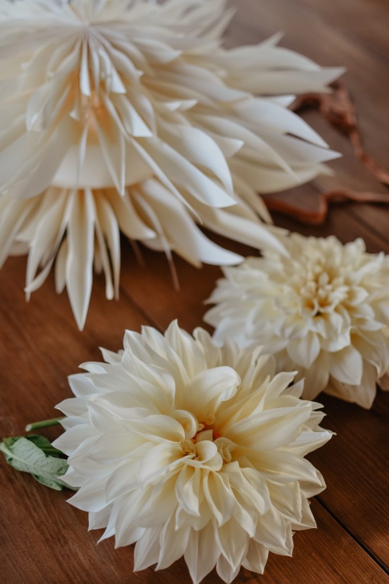 DIY pour fabriquer un poinsettia de type dahlia par Linnea