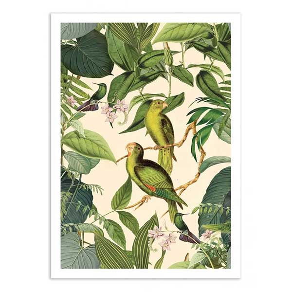 Wall editions - Poster d'art Jungle Parakeet par Andrea Haase