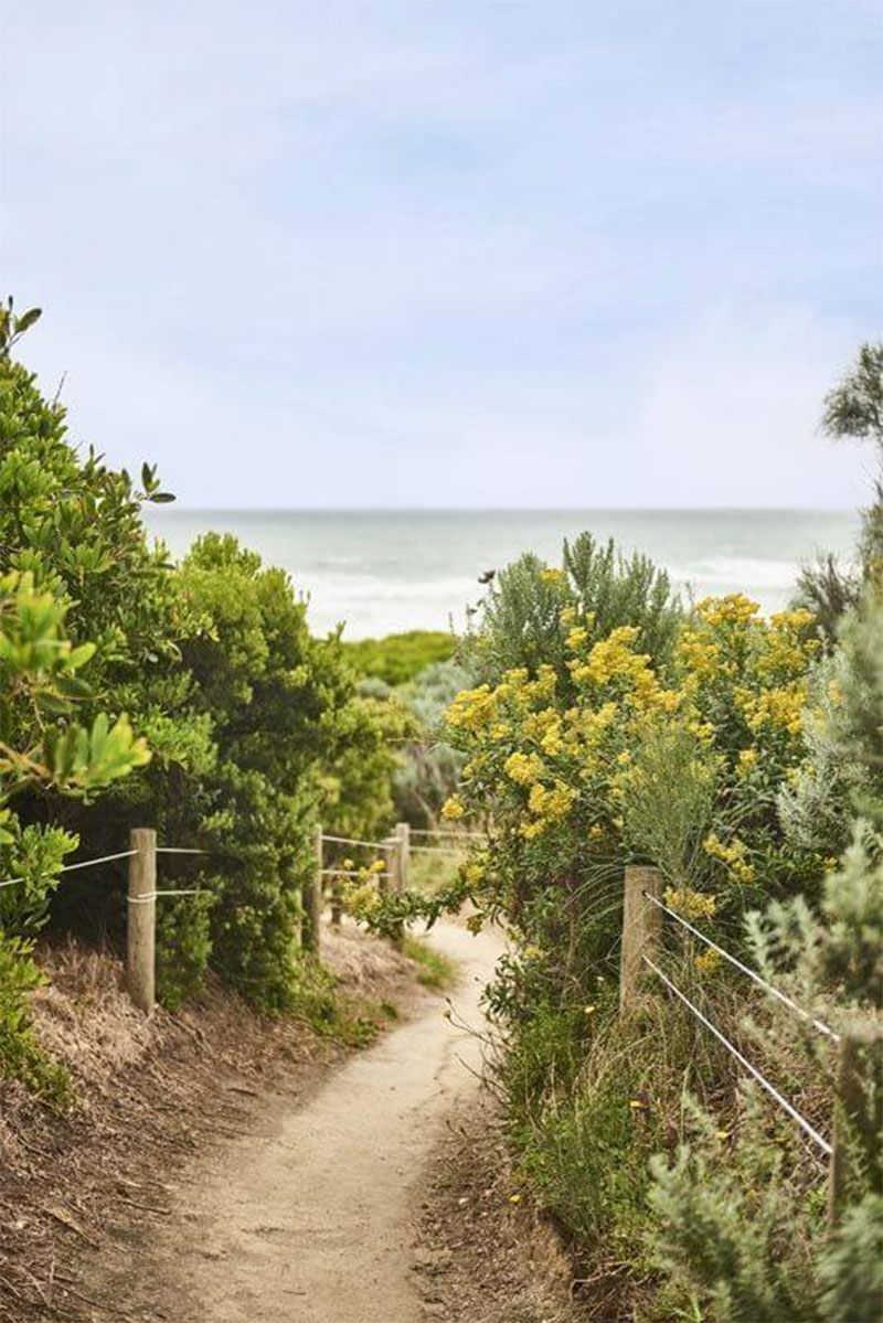 Les grandes plages près de Johanna, Australie