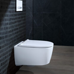geberit-coin-toilette_6