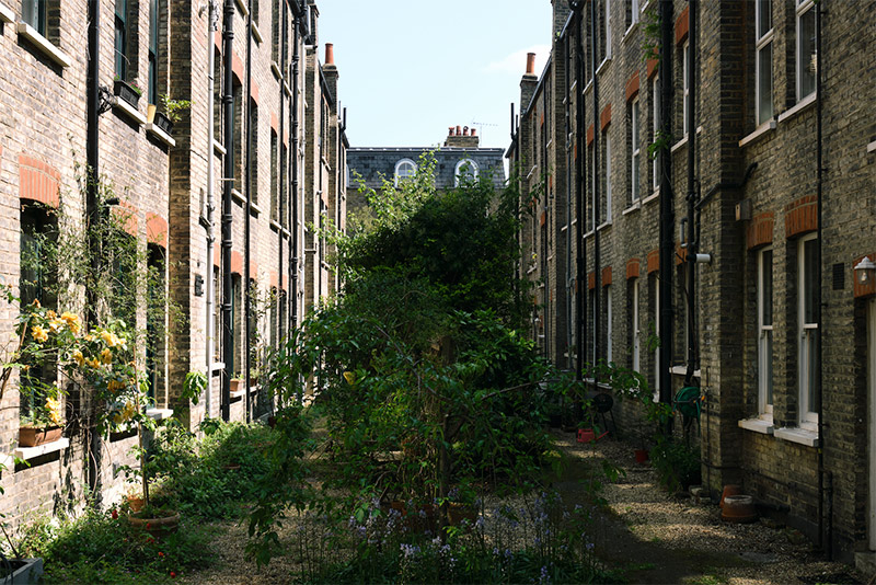 Un décor campagne bohème à Grove mansions