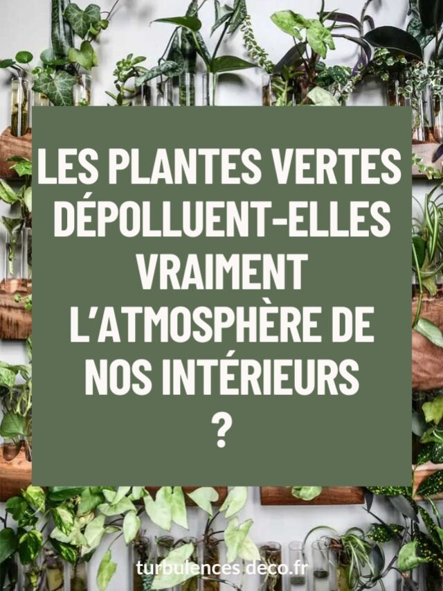 turbulences-deco_les plantes vertes depolluent elles vraiment nos interieurs