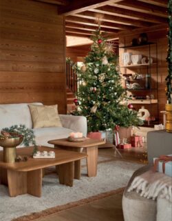 ampm_chrismast-2023_02