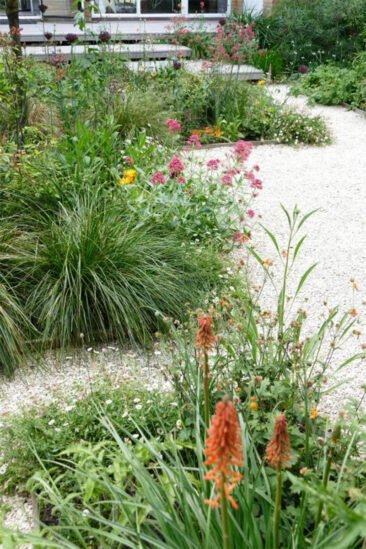 Réalisation d'un jardin à Amsderdam par la designer du jardin Carolien Barkman