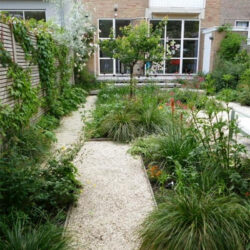 amenagement-parterre_jardin-de-ville-Amsterdam+Carolien-Barkman_3