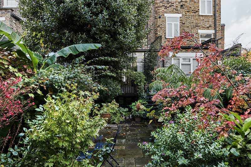 Jardin de ville luxuriant à Londres