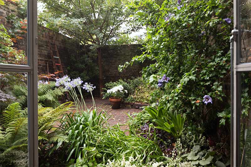Jardin terrasse à Londres à l'aménagement luxuriant