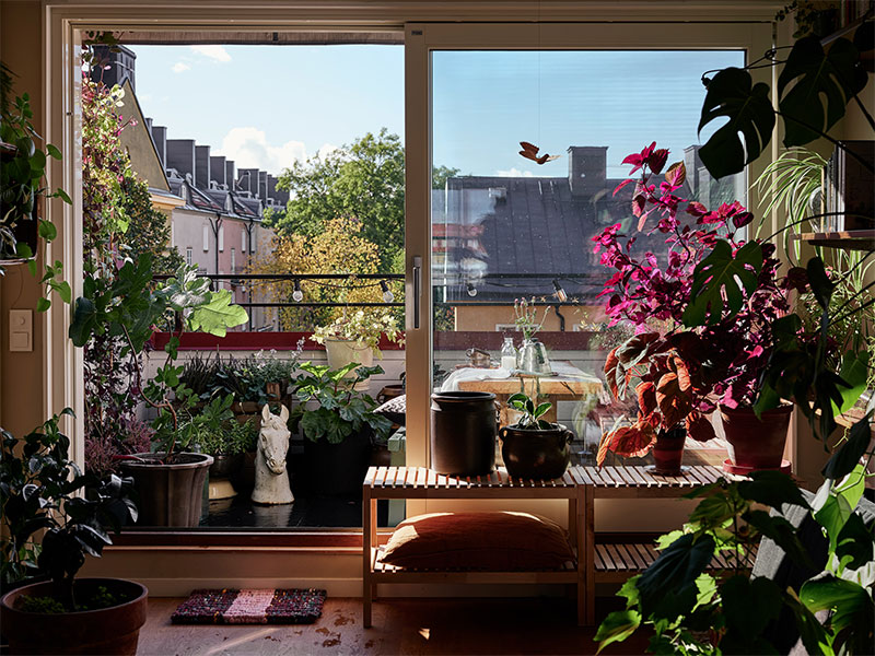 Une terrasse En suède avec son micro jardin