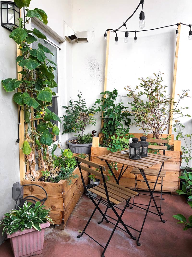 Un jardin aménagé sur la terrasse