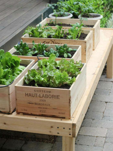 Détournement de caisses de vin pour mini potager