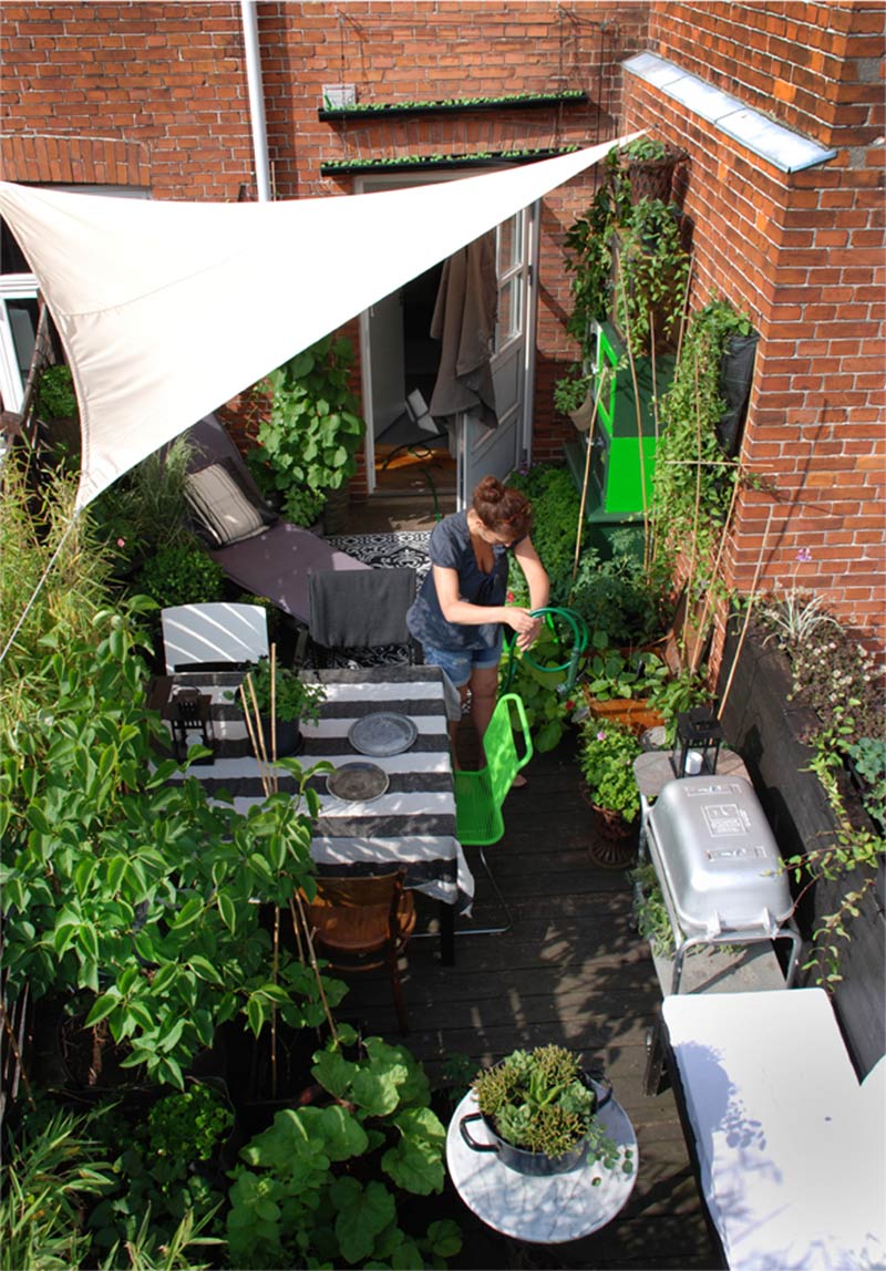 Un jardin de ville dans une petite cour 