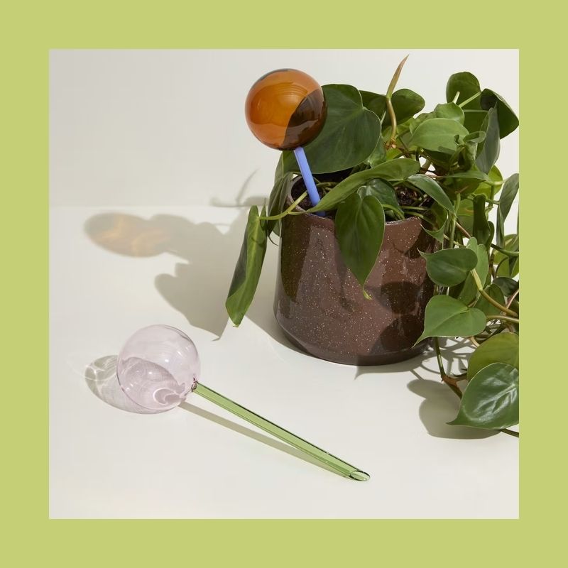 Hüsch - Globe d'arrosage en verre, Flora