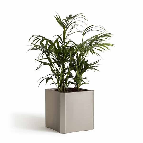 Ampm - Cache-pot en métal, Botania