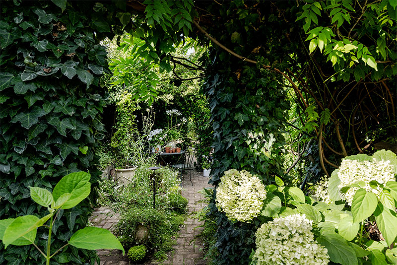 Un jardin foisonnant Un jardin foisonnant