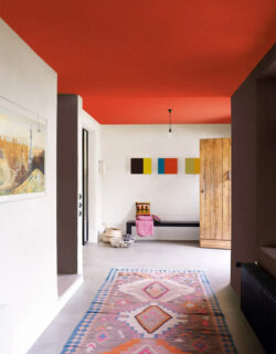 plafond-peint_dulux-catalogue-2