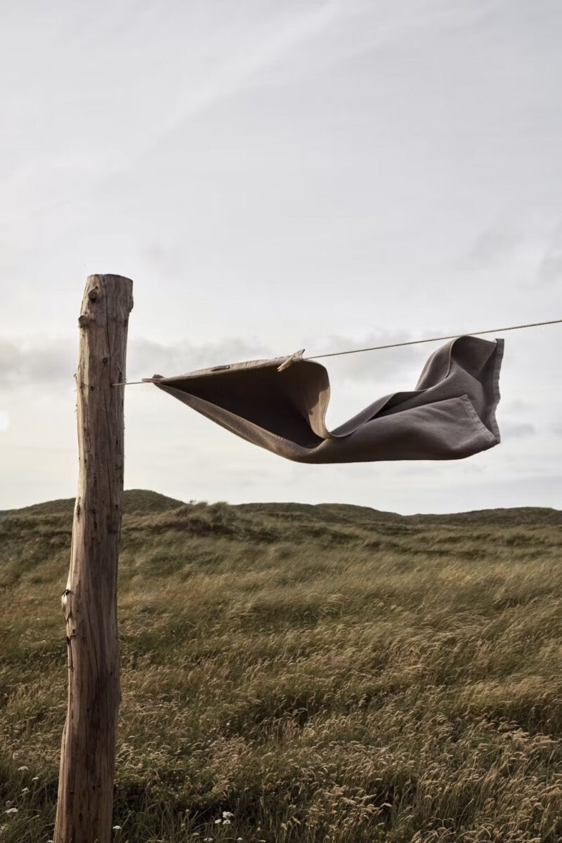 Les aménagements extérieurs au cœur de la nature du parc national de Thy, Danemark