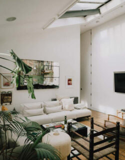 Appartement-en-sous-sol-style-brocante-et-plantes-vertes_22